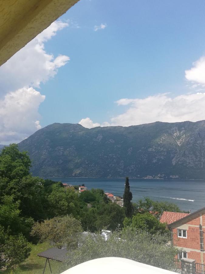 Apartment Ksenija Kotor Ngoại thất bức ảnh