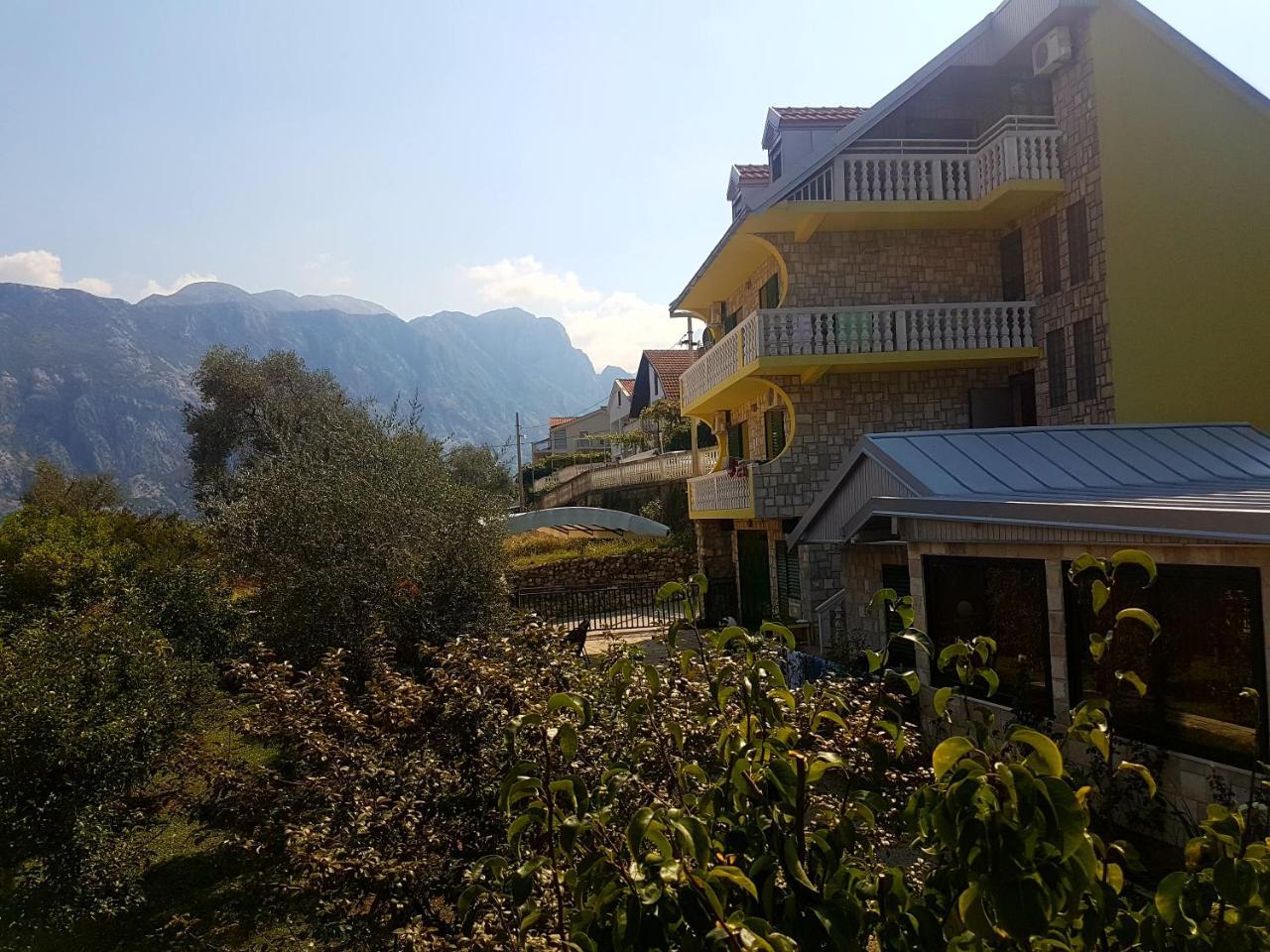 Apartment Ksenija Kotor Ngoại thất bức ảnh